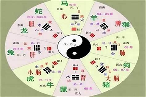 昕字五行|昕字的五行属性